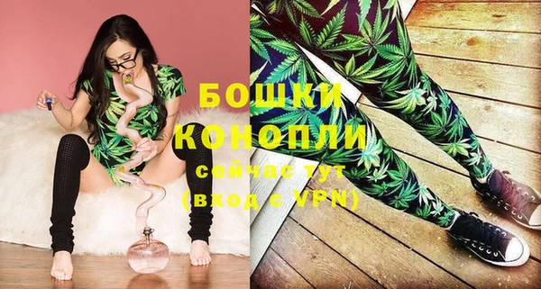 ешки Осинники